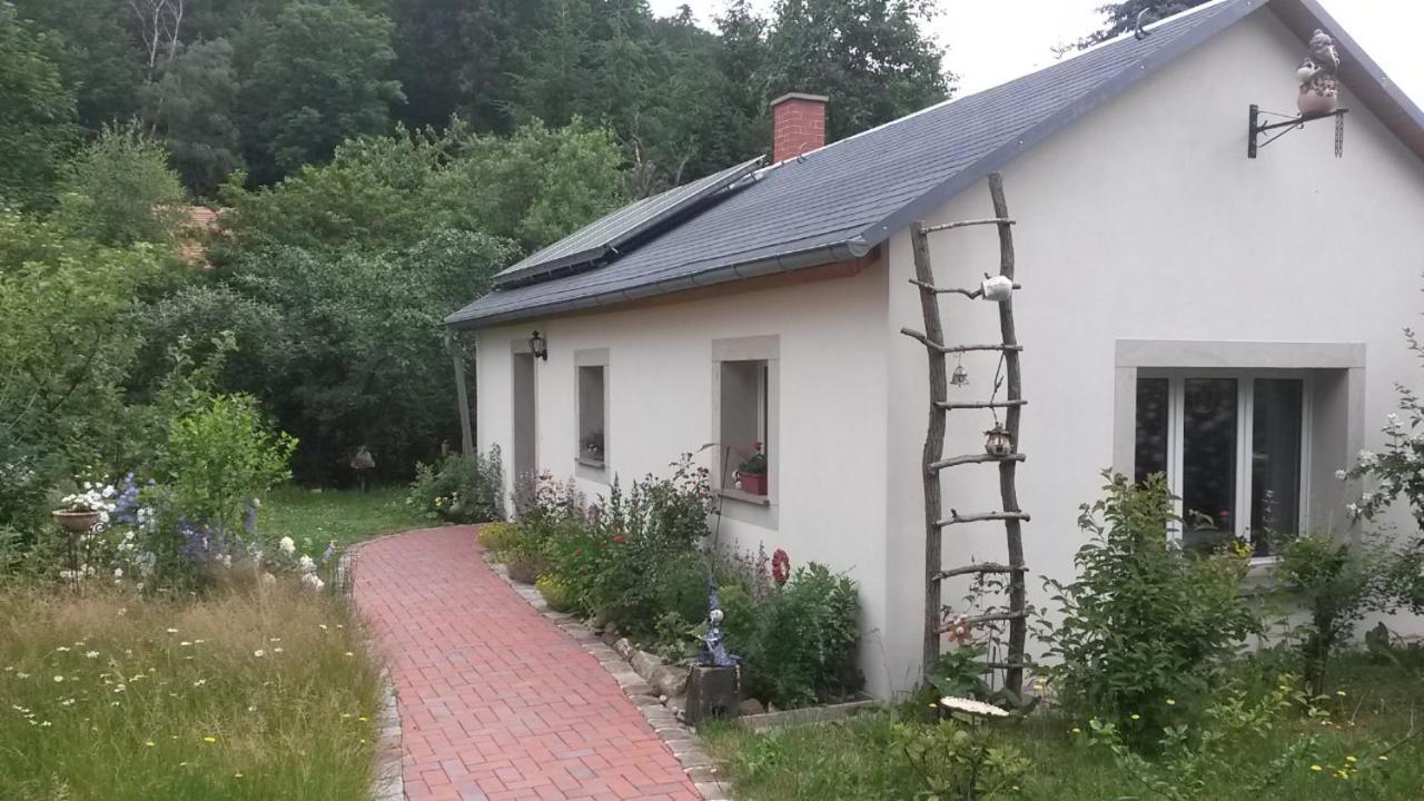 Pochebachhaeusl Villa Jonsdorf Kültér fotó